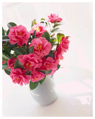 10花瓶.jpg