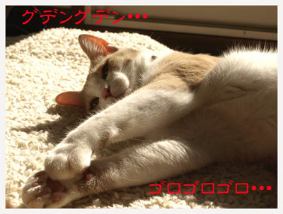 11ぐでんぐでん.jpg