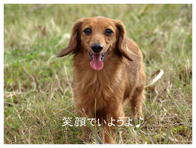 13笑顔でいようよ♪.jpg