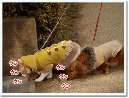 15美人になる方法 クンクンクン.jpg