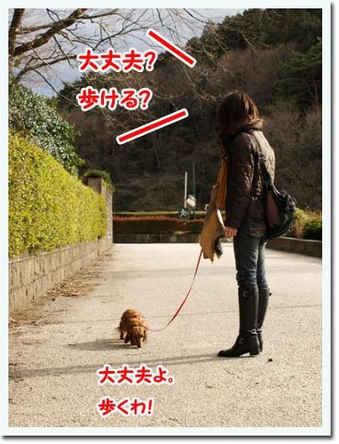 15美人になる方法 大丈夫よ。.jpg