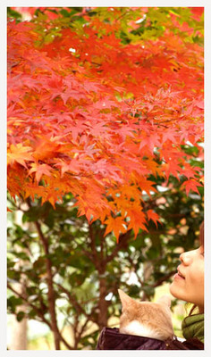 16紅葉とネコと私.jpg