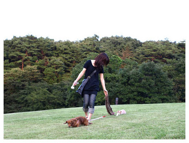 19猫をじゃらしながら歩かせる.jpg