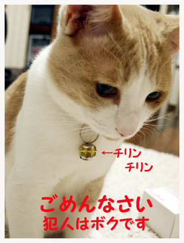 1美人になる方法 犯人はボクです.jpg