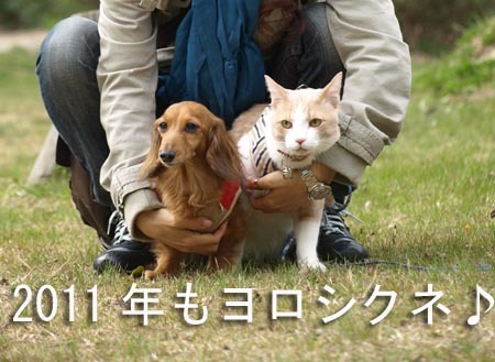 1 2011年もよろしくねのコピー.jpg