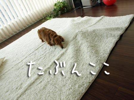 1 たぶんここ.jpg