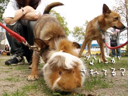 1 なにかされてる?.jpg
