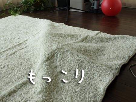 1 もっこり.jpg