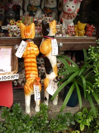 1 京都 ネコの立ち見.jpg