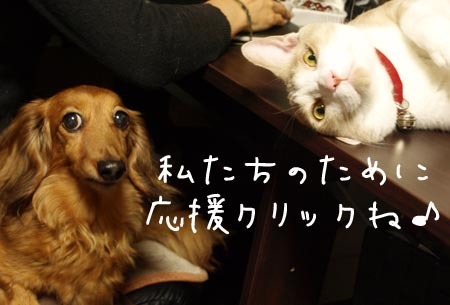 1 応援クリック!.jpg