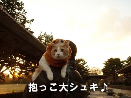 1 抱っこ大シュキ♪.jpg