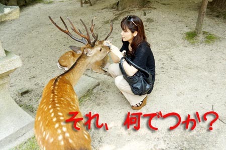 1宮島 それなんでつか?.jpg
