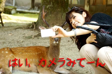 1宮島 はい、カメラみてーん.jpg