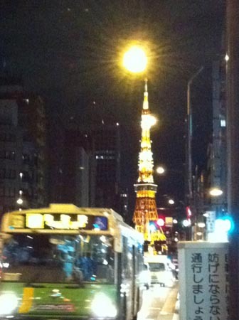 1肌再生東京タワー.jpg