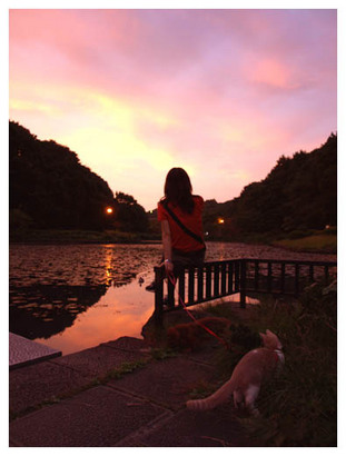 20美しい夕焼け.jpg