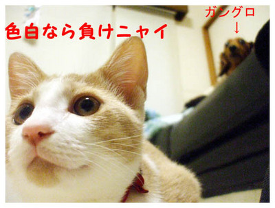 21ガングロと色白.jpg