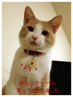 21新しいチャーム.jpg