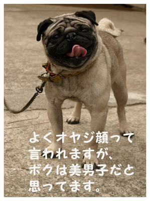 22オヤジ顔.jpg