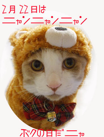 22美人になる方法 ニャンニャンニャン.jpg