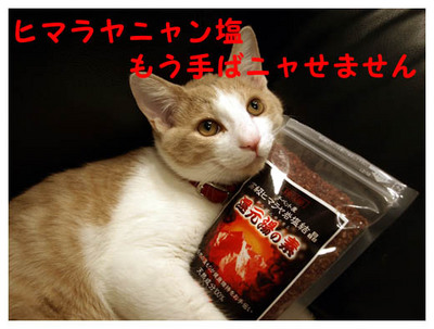 23ヒマラヤニャン塩.jpg