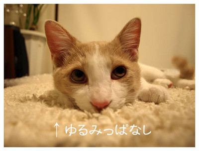 24ゆるめてね.jpg