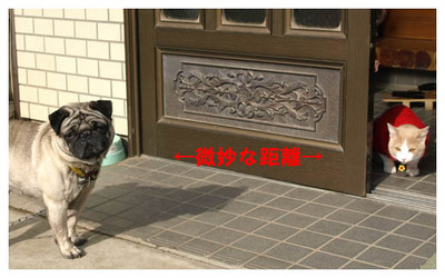 25微妙な距離.jpg