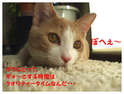 27ぼぉ〜.jpg