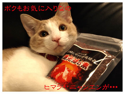 27ヒマラヤニャンエン.jpg