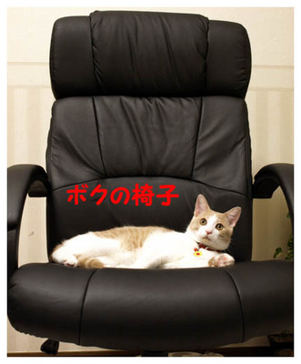 28ボクの椅子.jpg