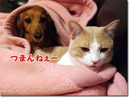 28美人になる方法 つまんねぇー.jpg