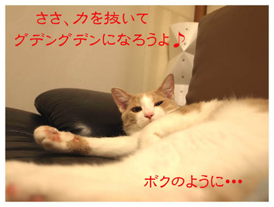 28力を抜いて・・・.jpg