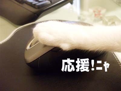 31 美人 応援.jpg