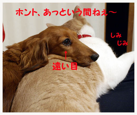 31美人になる方法 あっという間.jpg