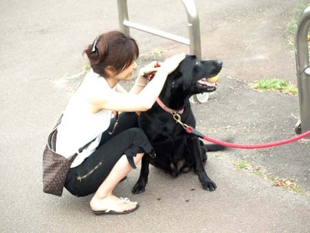 31 美人 ラブちゃん.jpg