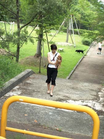 31 美人 階段は抱っこでね.jpg