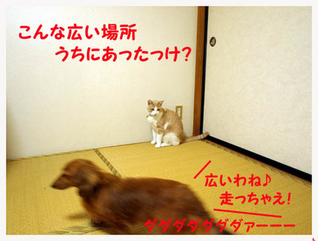 3美人になる方法 広い場所.jpg