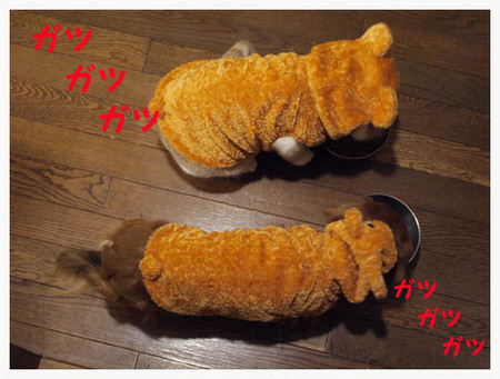 8美人になる方法 ガツガツガツ.jpg