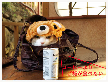 8美人になる方法 コーヒーよりご飯.jpg