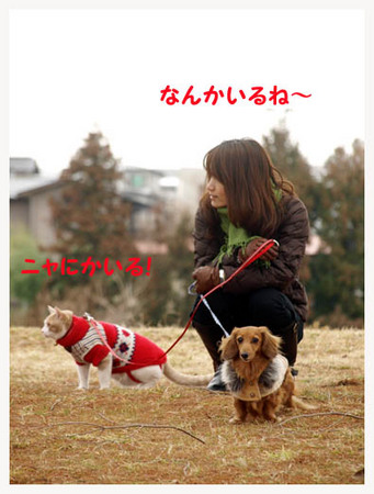 8美人になる方法 ニャにかいる.jpg