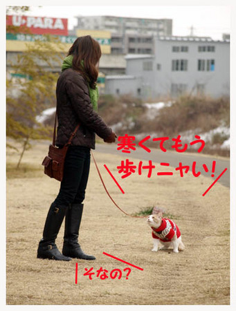 8美人になる方法 寒くて歩けニャい.jpg