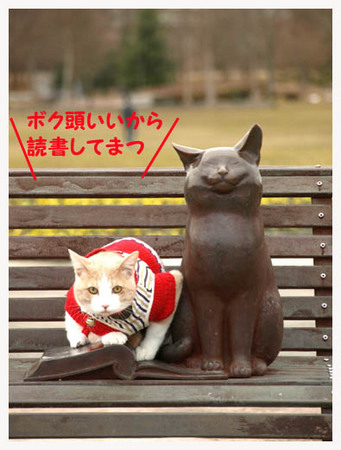 8美人になる方法 読書中.jpg