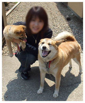 ワンコの笑顔が続きますように.jpg