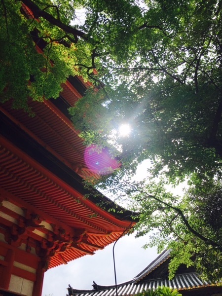 宮島 五重塔.jpg