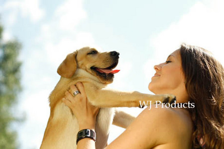 shutterstock_59002267.jpg
