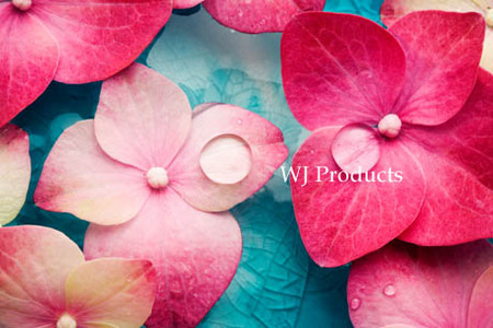 shutterstock_73641481.jpg