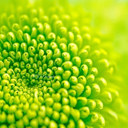 shutterstock_76932238.jpg